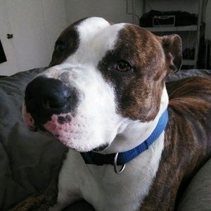 Meet your Posher, Glenn